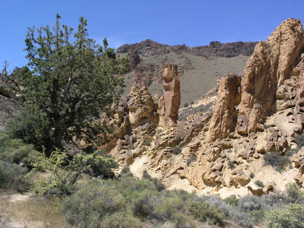 Leslie Gulch Photo