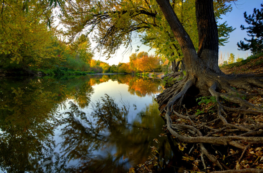 Boise River