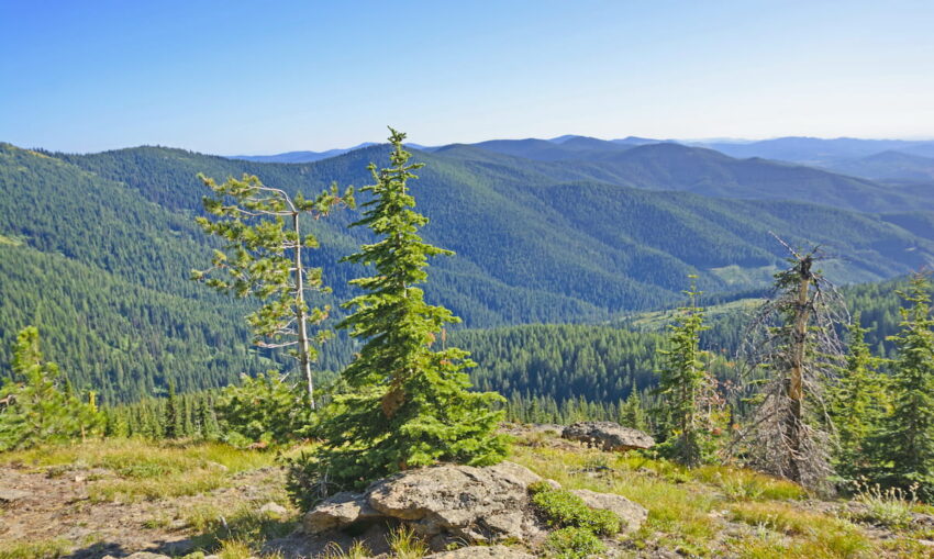 Nez-Perce-Clearwater-NF