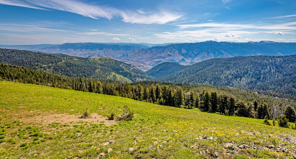 Nez-Perce-Clearwater-NF